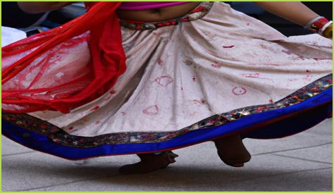 The Desi Jr. Experience: A Comprehensive Guide To Indian Culture For Kids